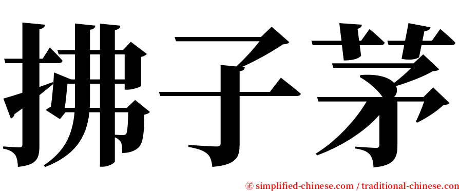 拂子茅 serif font
