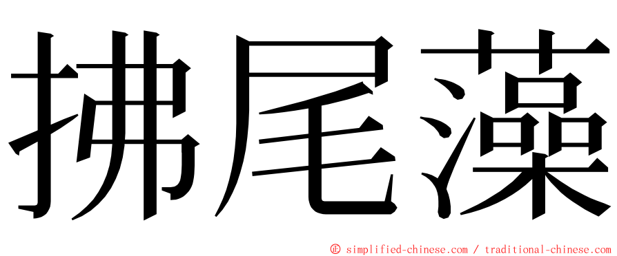 拂尾藻 ming font