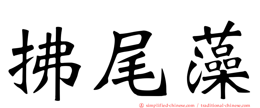 拂尾藻