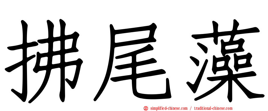 拂尾藻