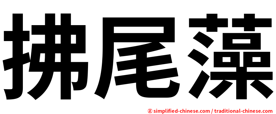 拂尾藻