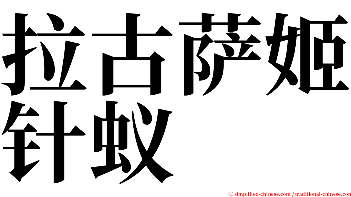 拉古萨姬针蚁 serif font