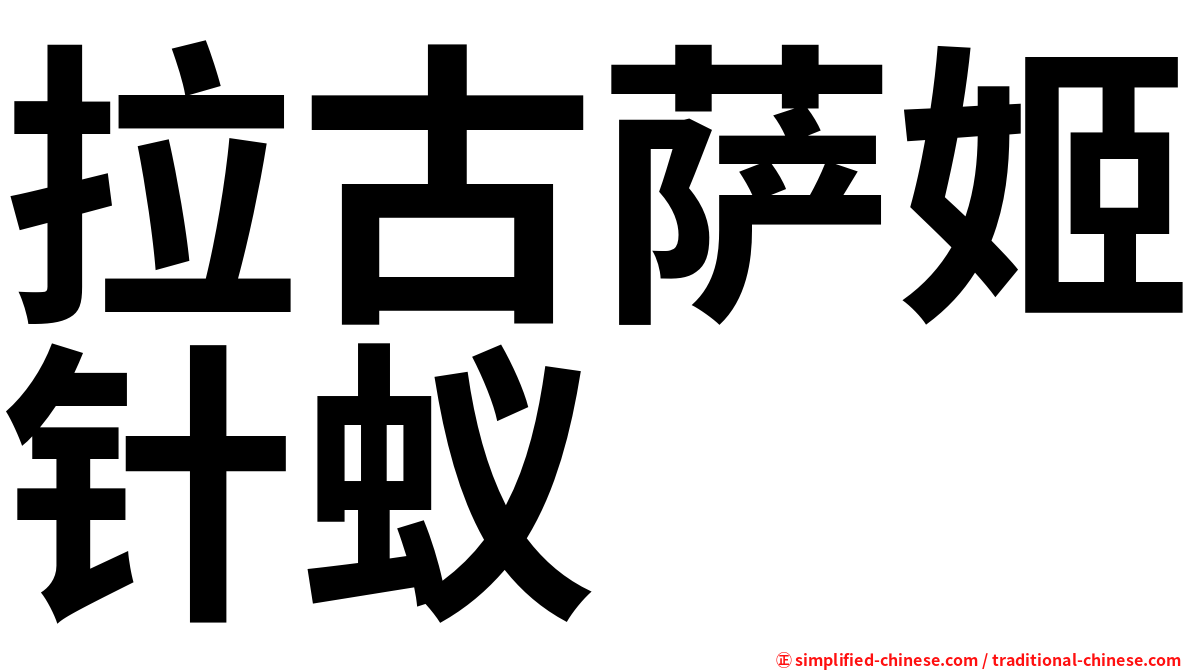 拉古萨姬针蚁