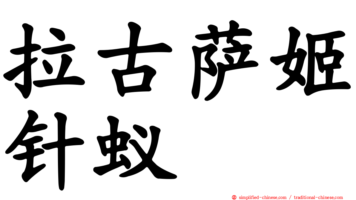 拉古萨姬针蚁