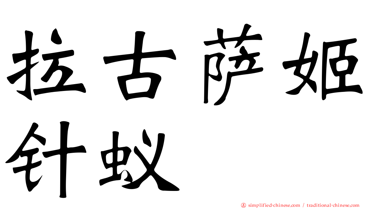 拉古萨姬针蚁
