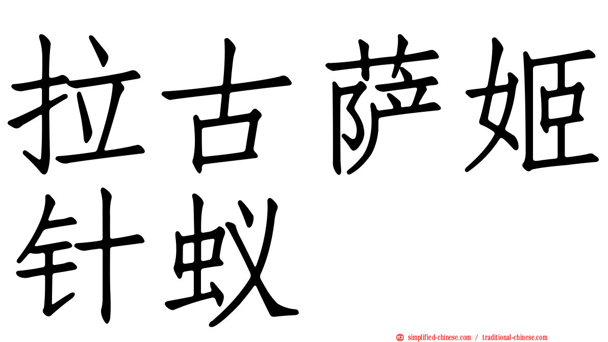 拉古萨姬针蚁