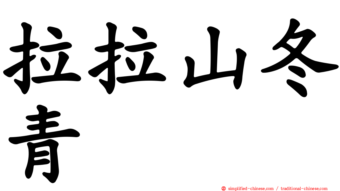 拉拉山冬青