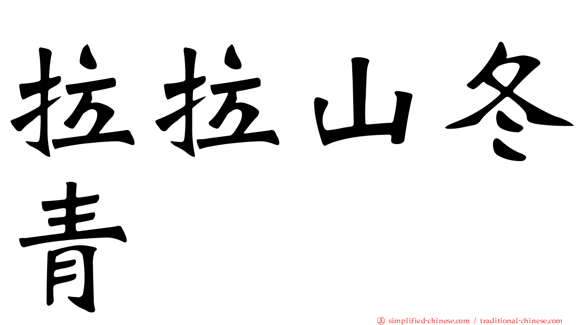 拉拉山冬青