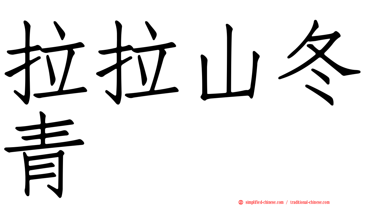 拉拉山冬青