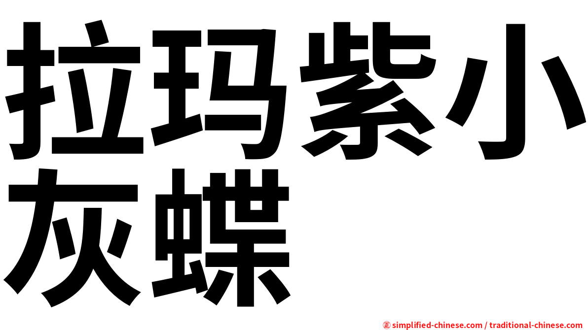 拉玛紫小灰蝶