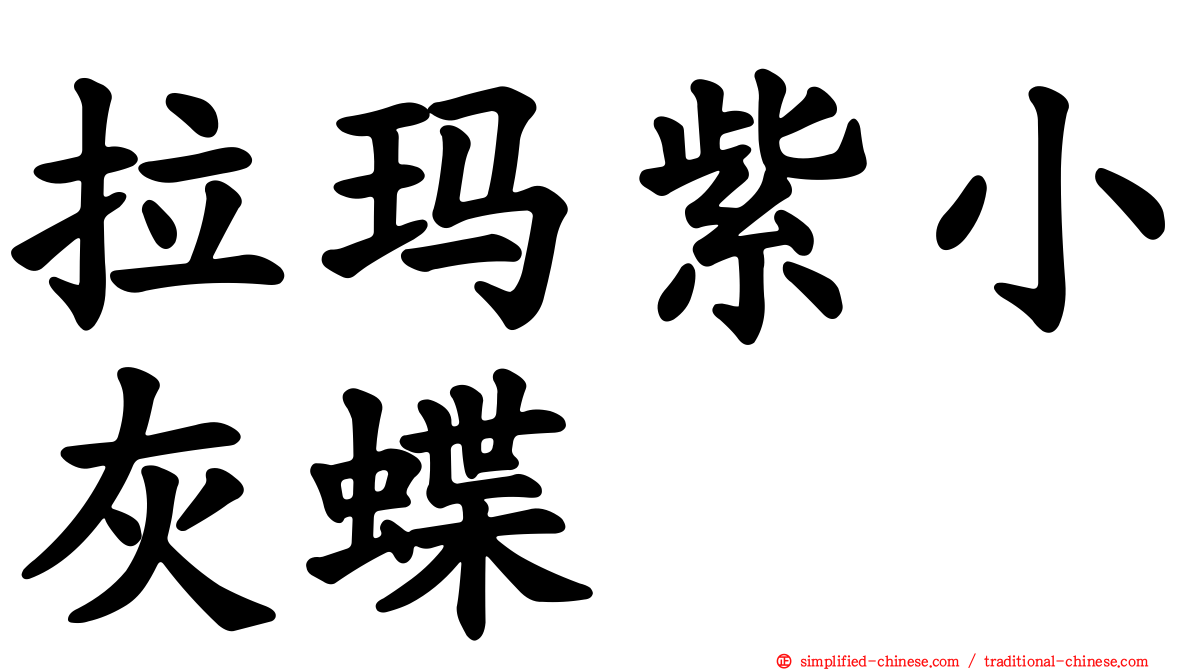 拉玛紫小灰蝶