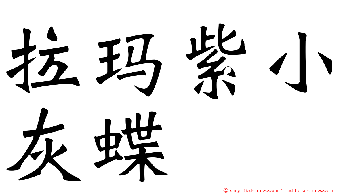 拉玛紫小灰蝶