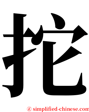 拕 serif font