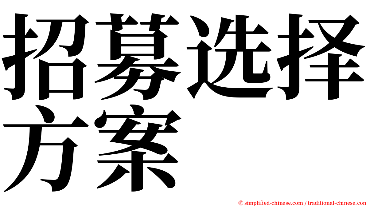 招募选择方案 serif font
