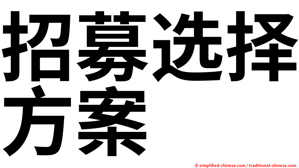 招募选择方案