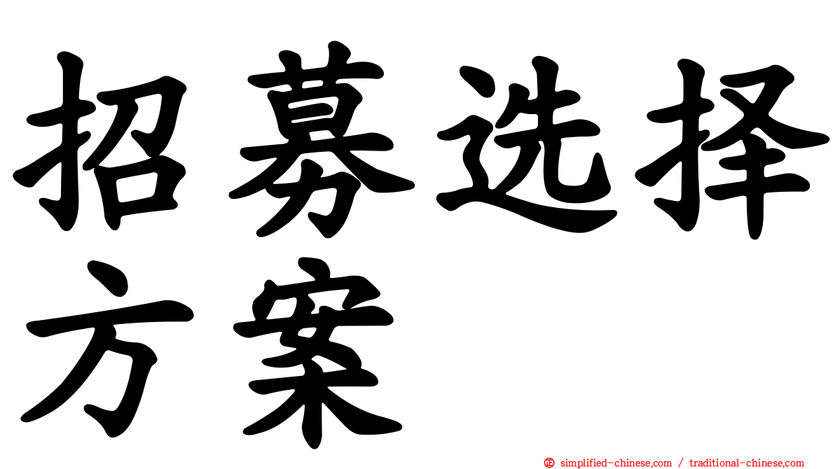 招募选择方案