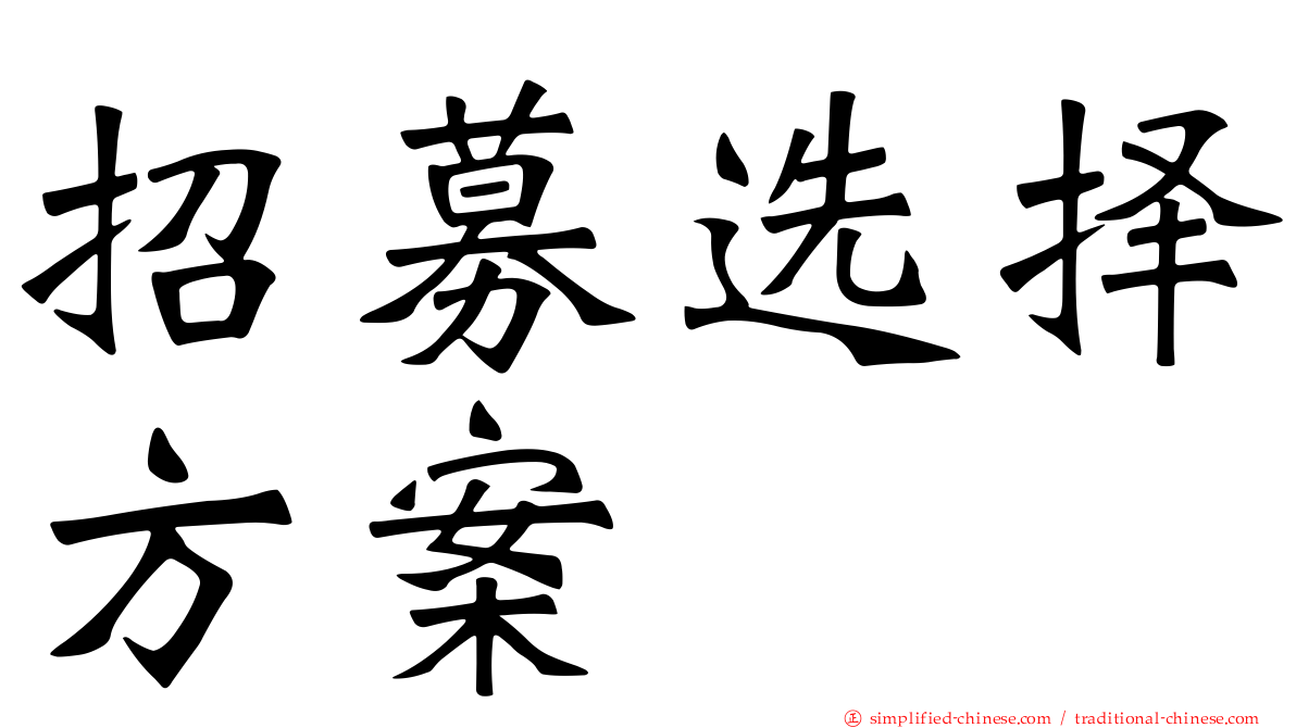 招募选择方案