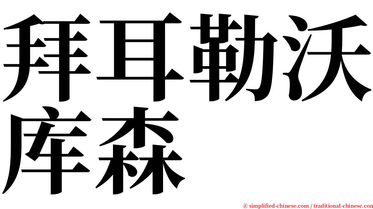 拜耳勒沃库森 serif font