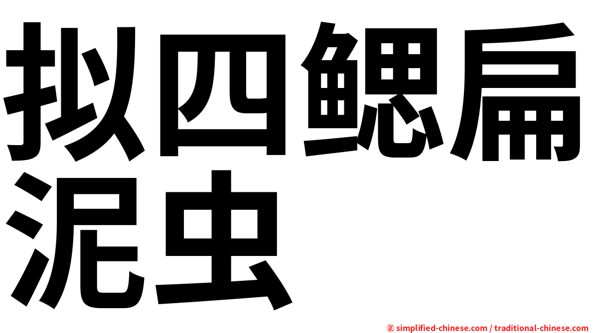 拟四鳃扁泥虫