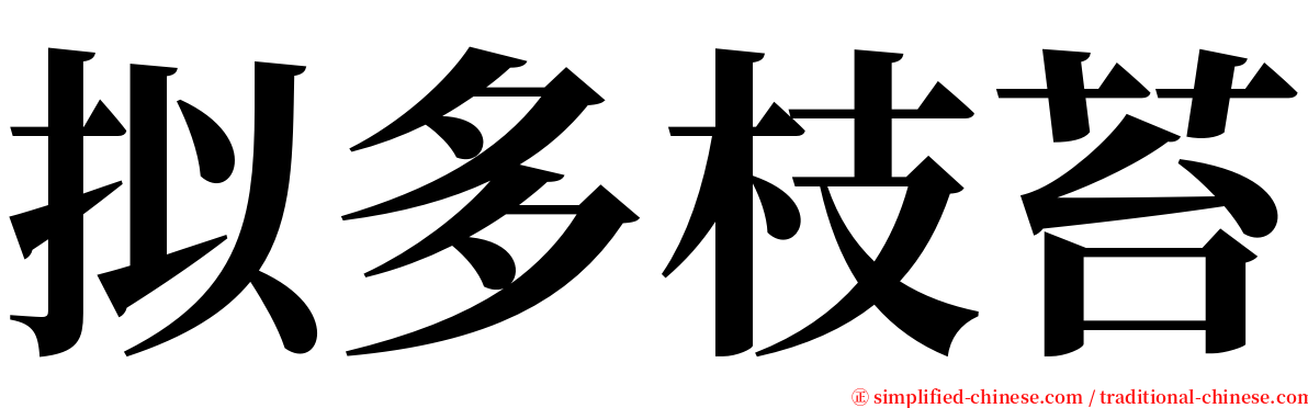 拟多枝苔 serif font