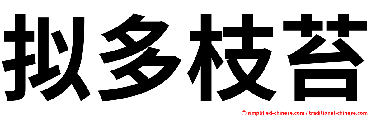 拟多枝苔
