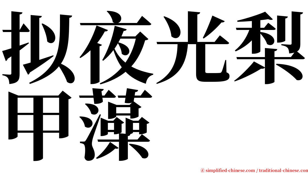 拟夜光梨甲藻 serif font