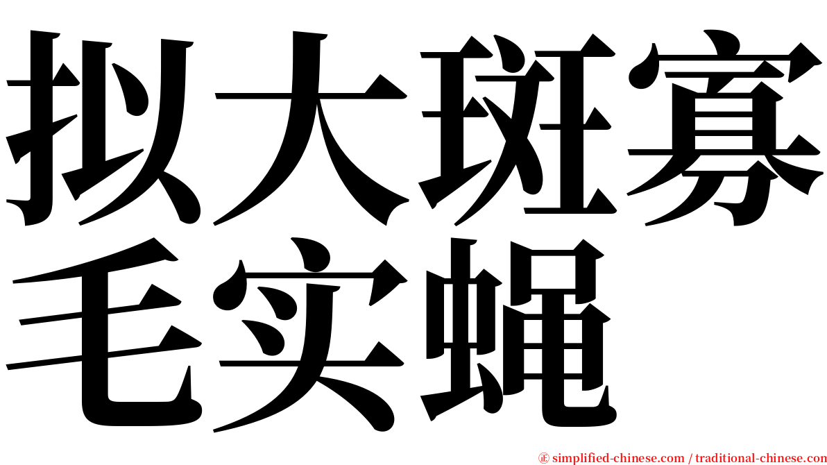 拟大斑寡毛实蝇 serif font