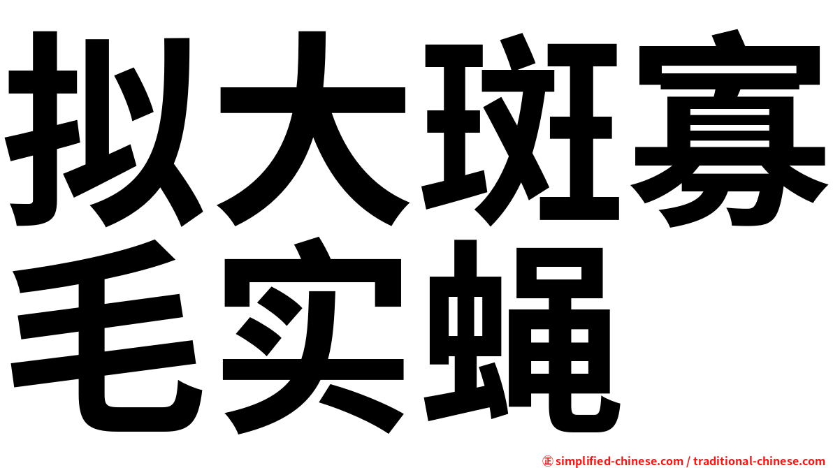 拟大斑寡毛实蝇