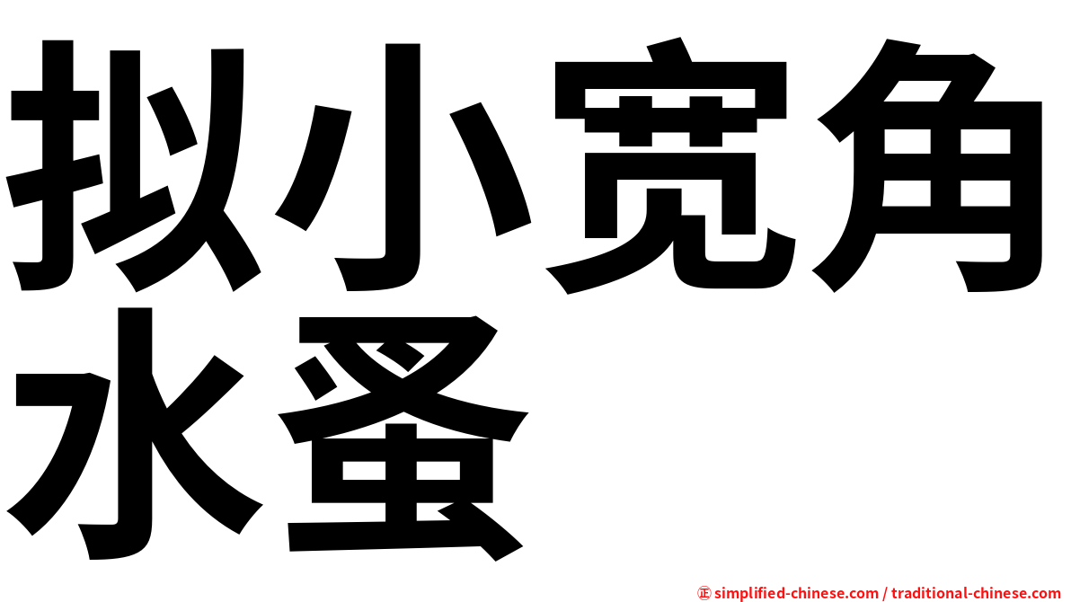 拟小宽角水蚤
