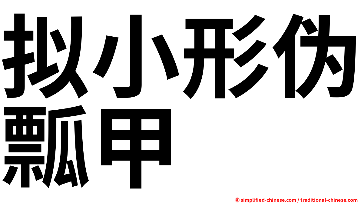 拟小形伪瓢甲