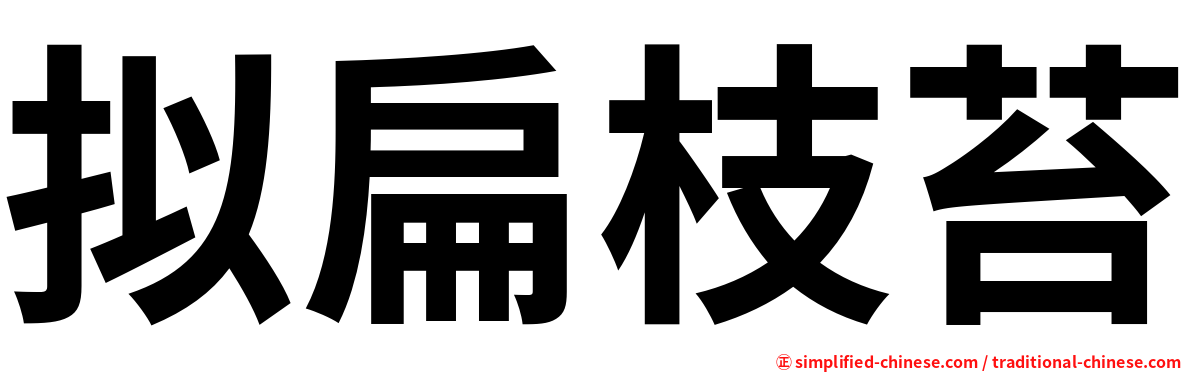 拟扁枝苔