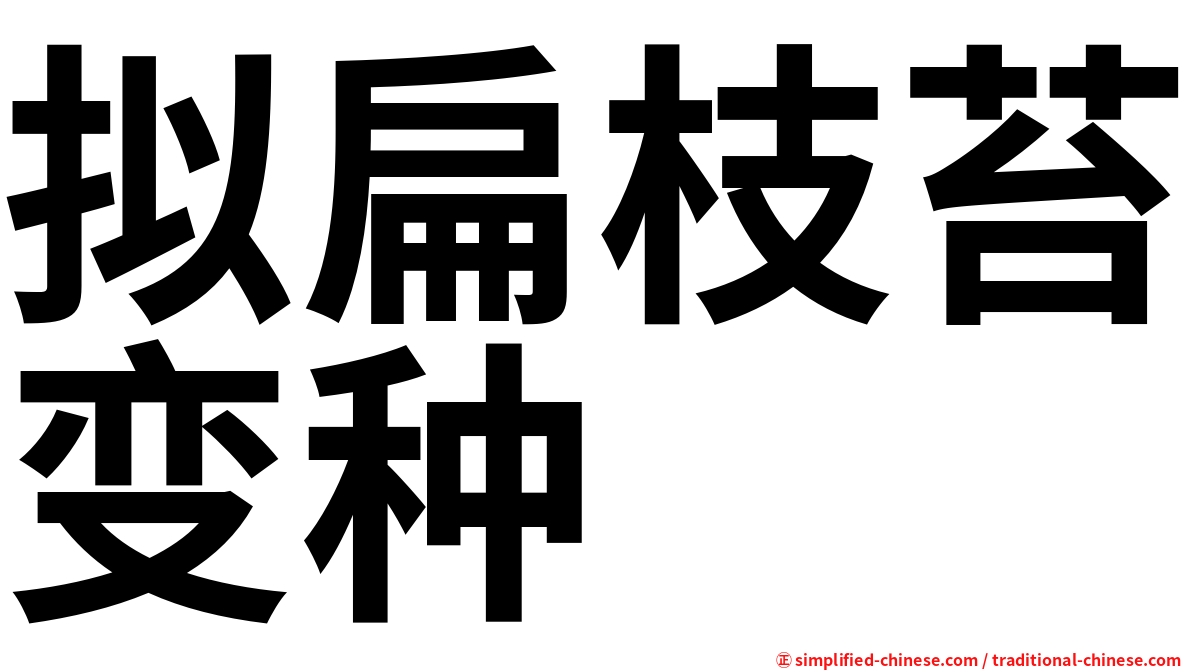 拟扁枝苔变种