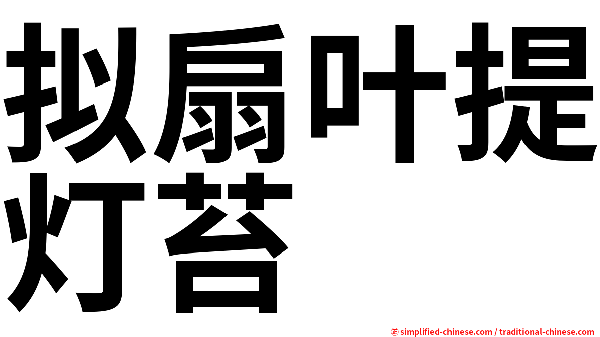 拟扇叶提灯苔
