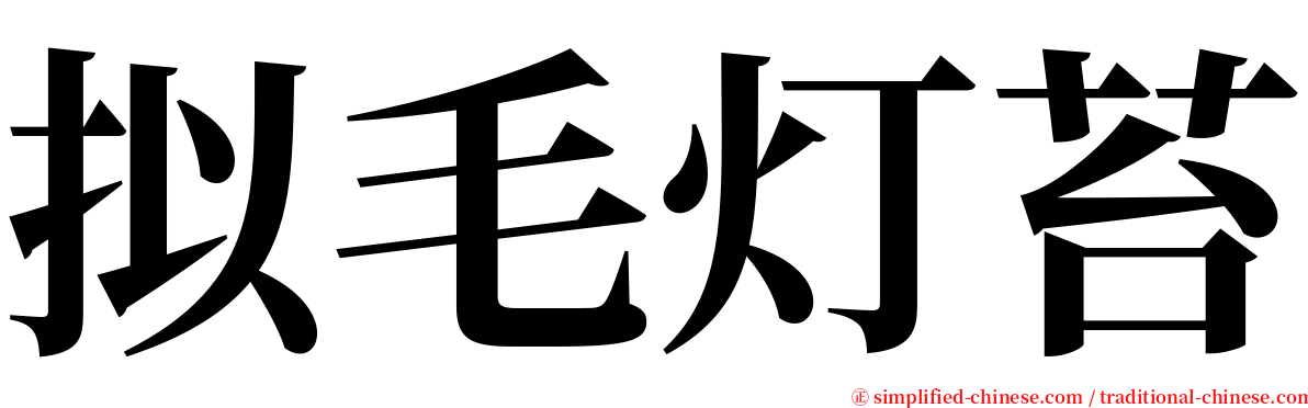拟毛灯苔 serif font