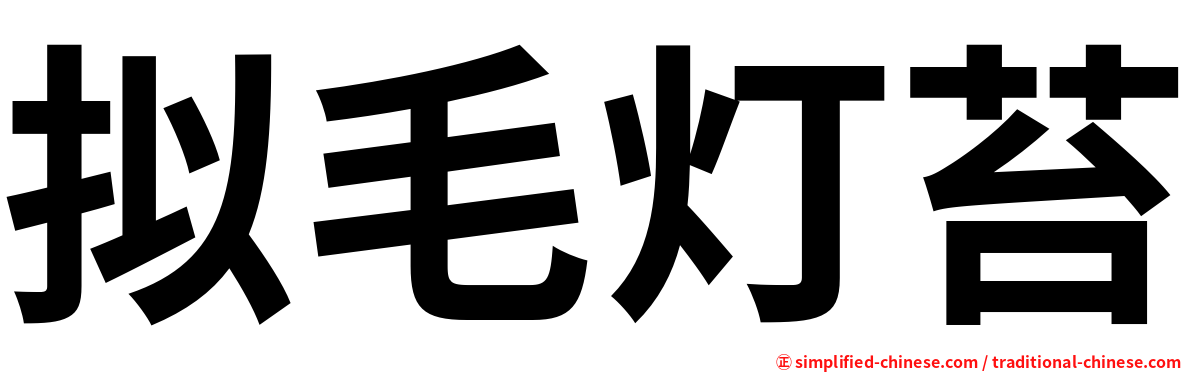 拟毛灯苔