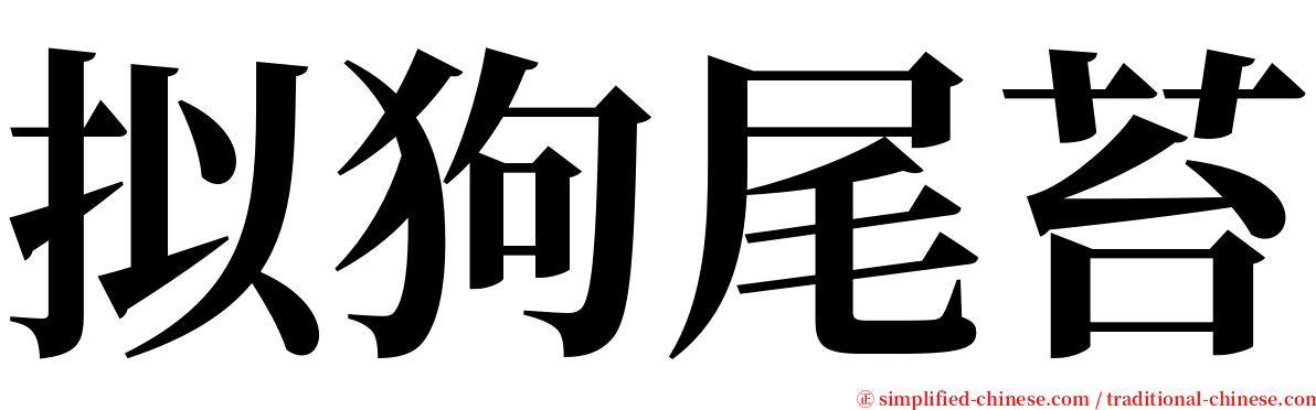 拟狗尾苔 serif font