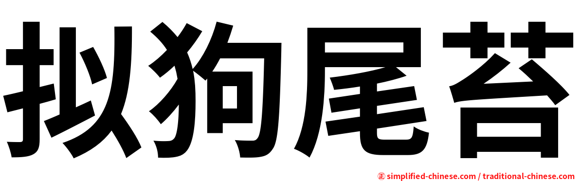 拟狗尾苔