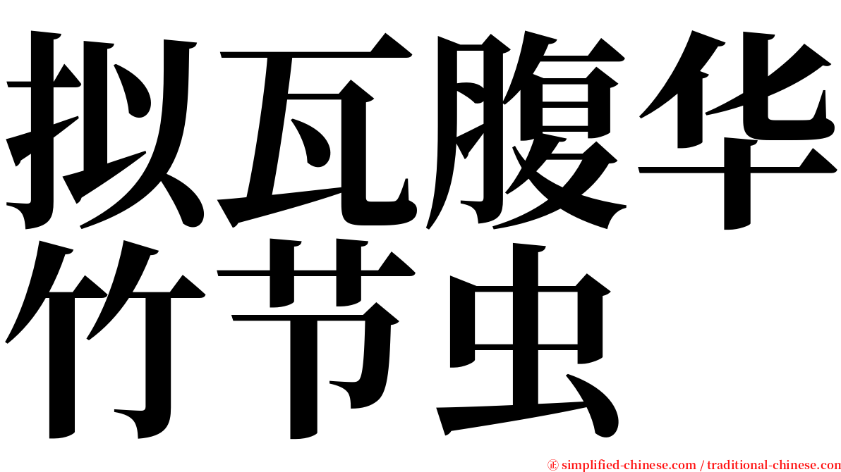 拟瓦腹华竹节虫 serif font