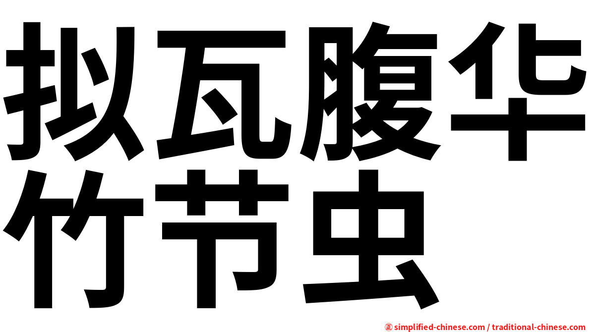 拟瓦腹华竹节虫