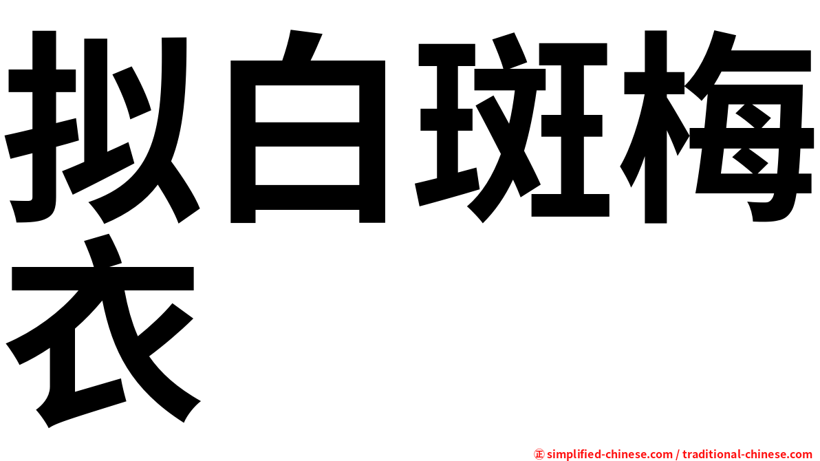 拟白斑梅衣