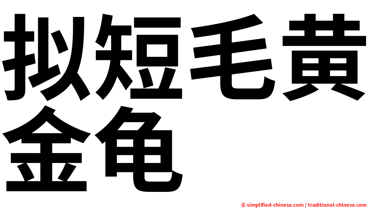 拟短毛黄金龟