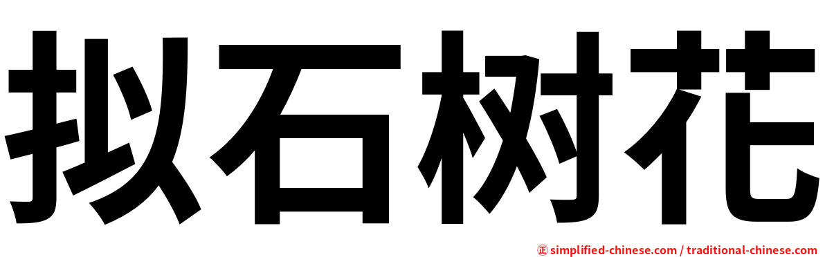 拟石树花