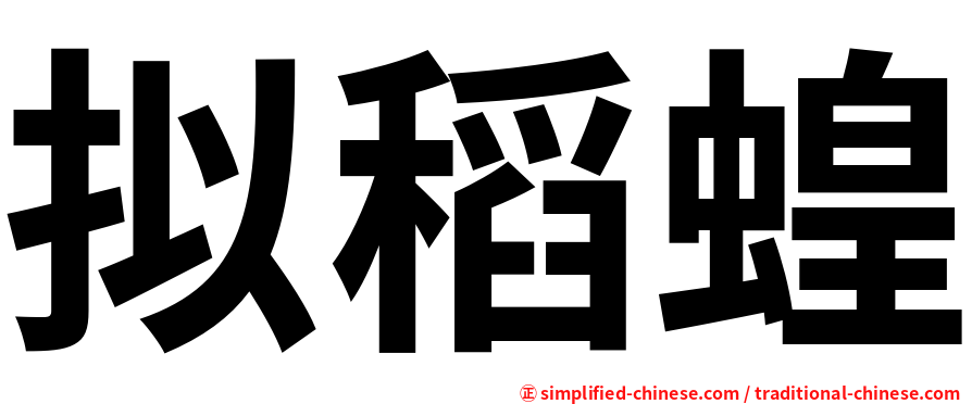 拟稻蝗