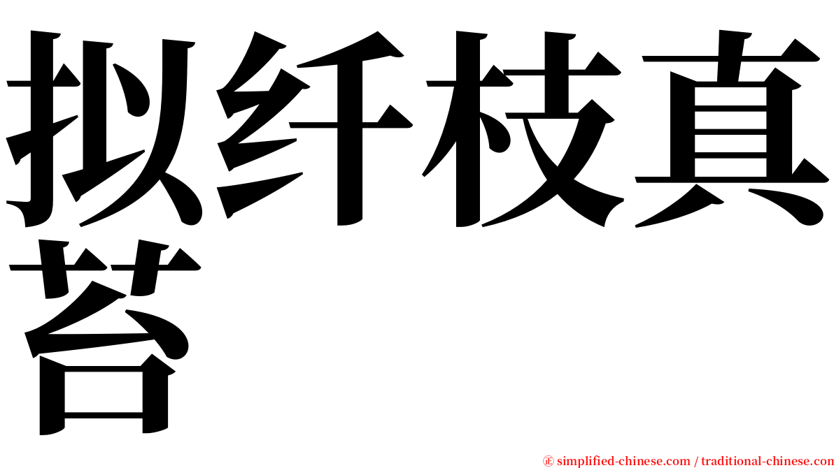 拟纤枝真苔 serif font