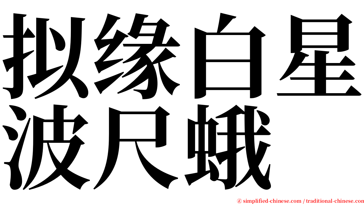 拟缘白星波尺蛾 serif font