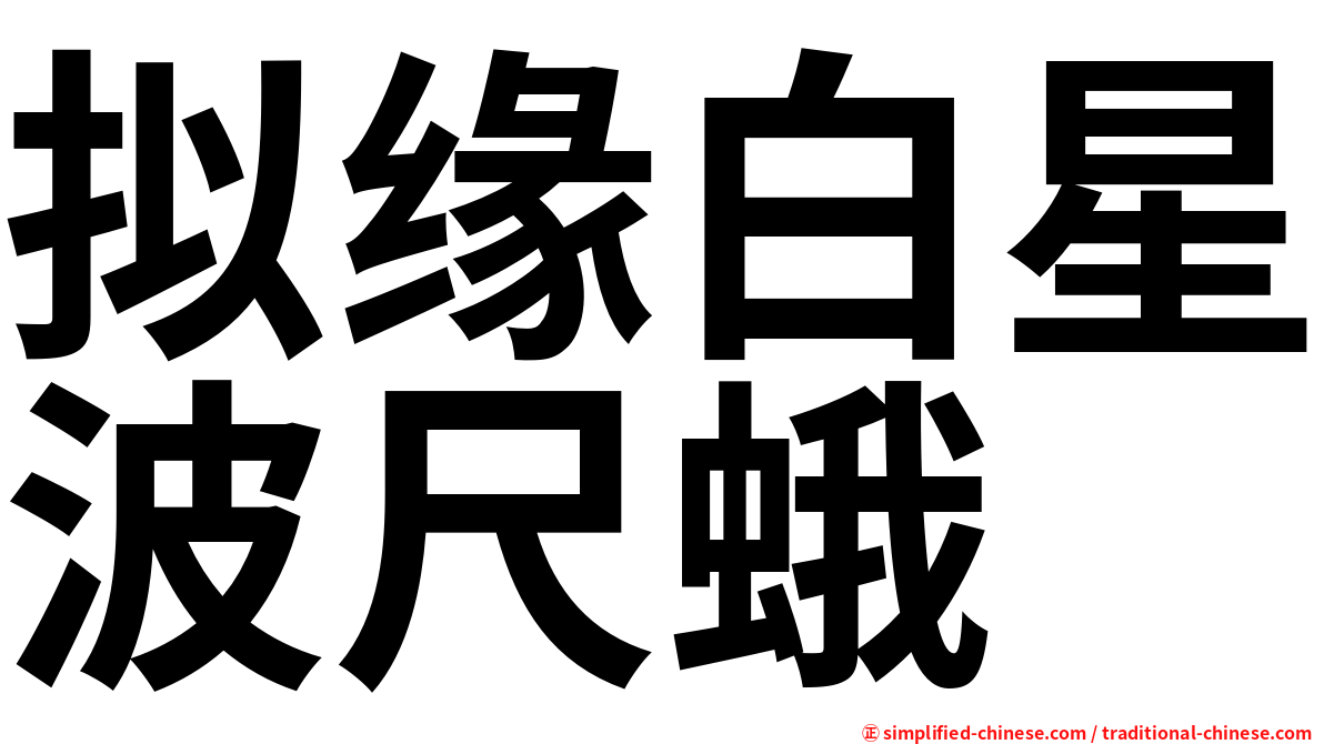 拟缘白星波尺蛾