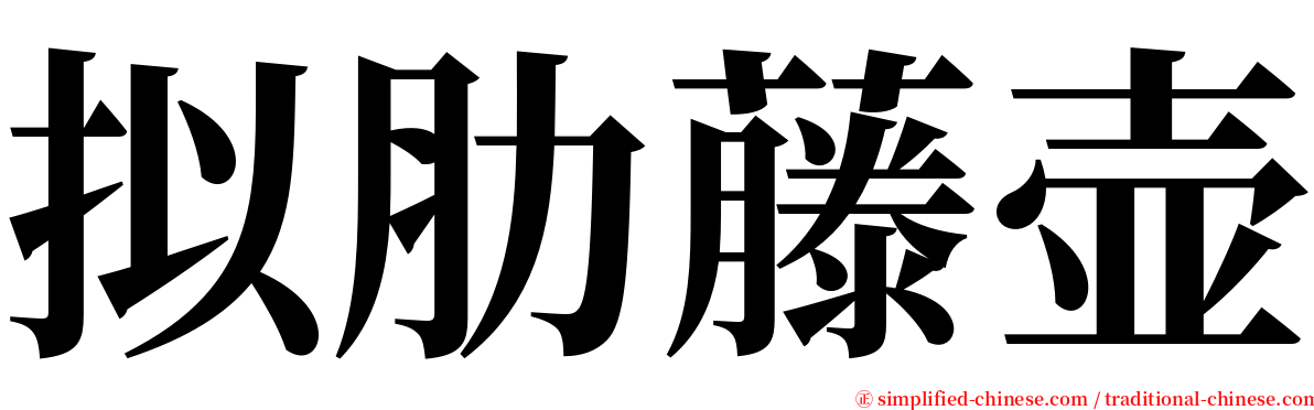 拟肋藤壶 serif font