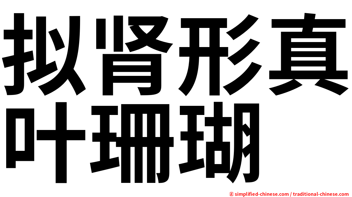 拟肾形真叶珊瑚