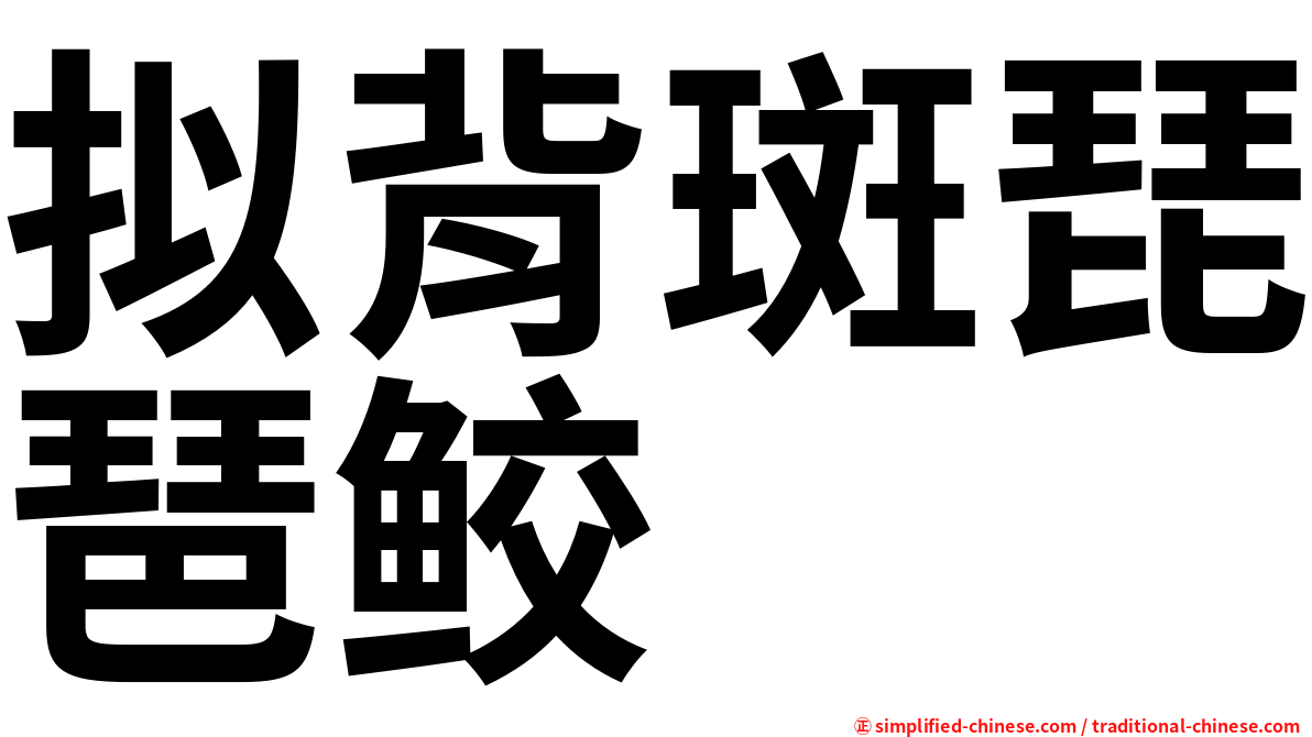 拟背斑琵琶鲛