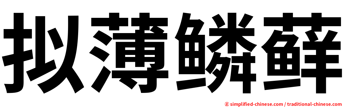 拟薄鳞藓